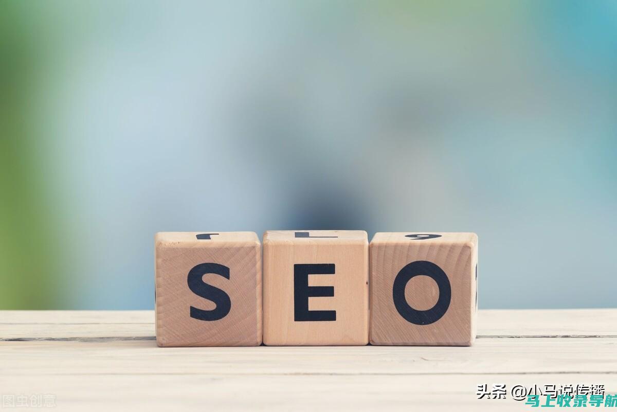 SEO专家必备：深度解析SEO1网站查询数据与策略